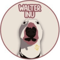 香港web3開始於什麽時候