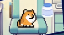 PlayDoge正是其中一顆冉冉升起的新星